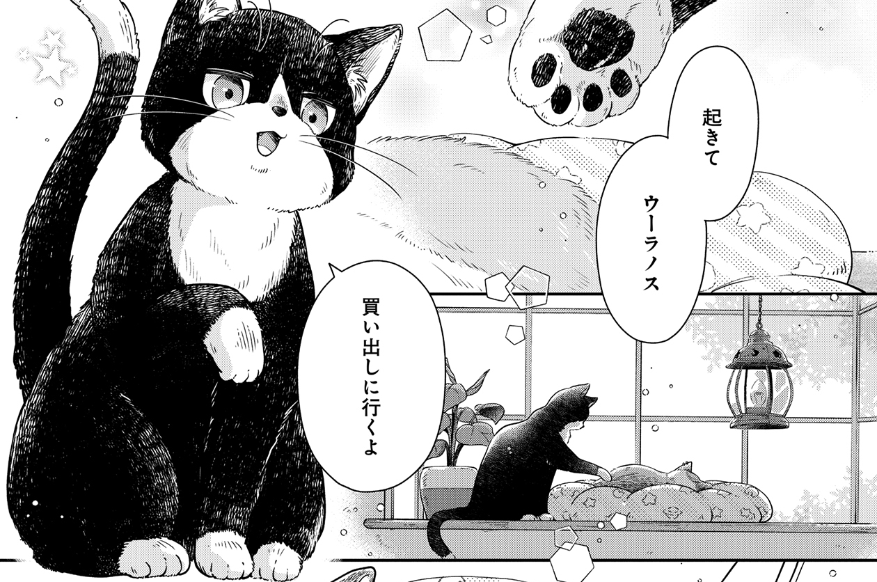 番外編 2匹でおかいもの